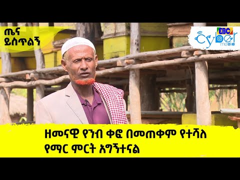 ቪዲዮ: የተቀጠቀጠ ዶሎማይት። ክፍልፋዮቹ እና አጠቃቀሞቹ