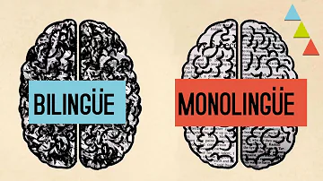 ¿Cuáles son los efectos negativos del bilingüismo en un país?