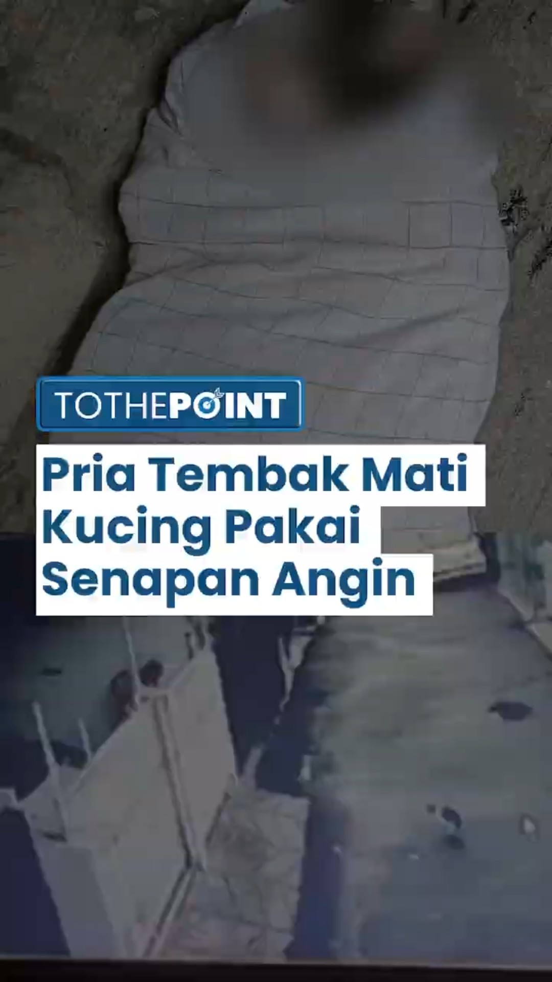 Pria di Kelapa Gading Tembak Kucing Pakai Senapan Angin hingga Mati, Pelaku Terancam 3 Tahun Penjara