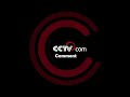 후난 용산：만 묘의 유동나무꽃이 피어 아름다운 시골에 그림펼쳐 |CCTV 한국어방송