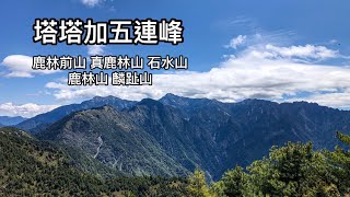 ［南投信義］2022再訪塔塔加五連峰鹿林山、麟趾山步道 ... 