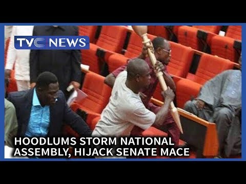 VIDEO: Actual Video Of The Moment The Senate Was Hijacked