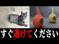 【人類の味方？】可愛すぎるSCPがツッコミどころ満載だったwwwww傑作選 #3【SCP】【都市伝説】【なろ屋】【ツッコミ】【衝撃】