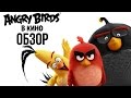 Angry Birds в кино - Мультфильм про птичек с характером (Обзор)