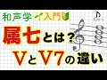 【初心者向け】和声の基礎〜属七の和音とは？〜【音大卒が教える】