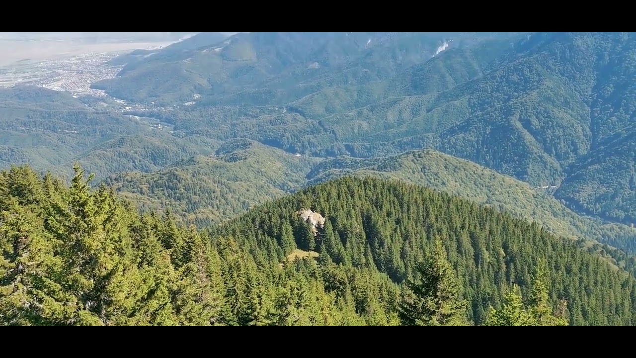 Azi, boncanit de cerb in Postavaru, 24. 09.2025