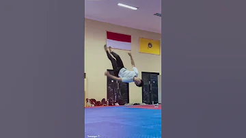 Wawan Saputra Taekwondo N Lion S Wawansaputra 