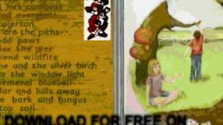 Watch Bibio Flesh Rots Pip Sown video