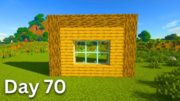 Building A House But Only Adding One Block A Day (Day 70)