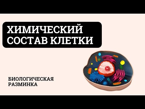 Химический состав клетки