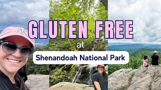 Gluten-Free Adventure: Shenandoah National Park & Luray Caverns Explorations 🌿🏞️ by Sharon - The Helpful GF 52 views 7 months ago 4 minutes, 29 seconds