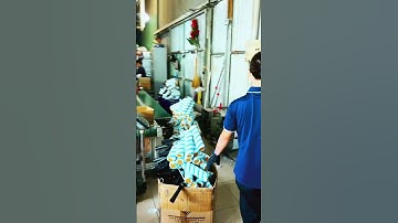 Xưởng em chăm chỉ như những chú ong 🐝 nha. Sơn nước, sơn dầu sơn tất tần tật nhà em cân tất#conlans