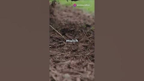 Sandy soil reclamation technologies to improve crop productivity and soil health #soil #researchers