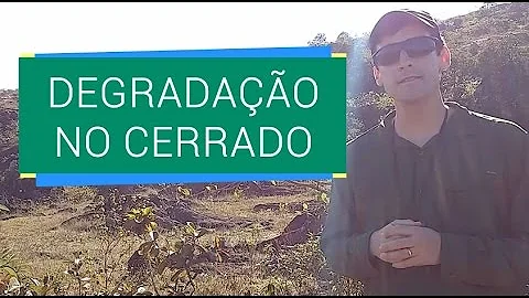 Qual a principal causa da degradação do Cerrado?