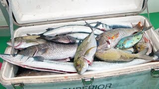 ３泊４日寝る間も惜しんで釣りし続けた結果…【波照間遠征#5】