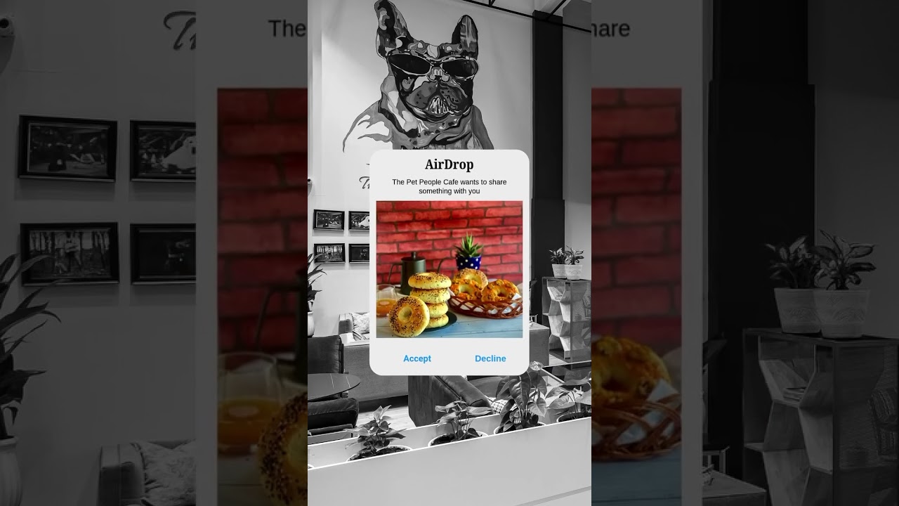 AIRDROP | THE PET PEOPLE CAFE | PAWSNCOLLARS