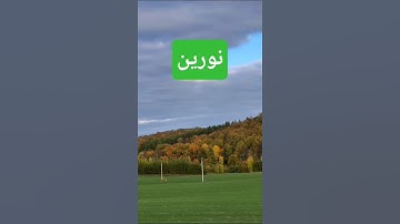 نور القرآن الكريم #اكسبلور #تيك_توك #ترند #لايك #قصص#short