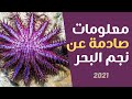 معلومات غريبة وصادمة لا تعرفها عن نجمة البحر سبحان الخالق العظيم معلومات غريبة وصادمة لا تعرفها عن نجمة البحر سبحان الخالق العظيم