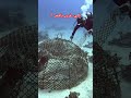 شيء غريب بالبحر اسوأ شي شفته بالبحر شيء غريب بالبحر اسوأ شي شفته بالبحر
