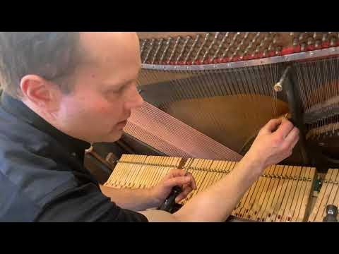 Buzzing Bass Strings in a Piano — Fine Tuning