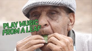 How to play music from a leaf
