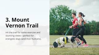 Dog Friendly Adventures in Alexandria Virginia