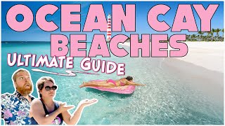 Ultimate Guide to the Beaches on MSC's Ocean Cay