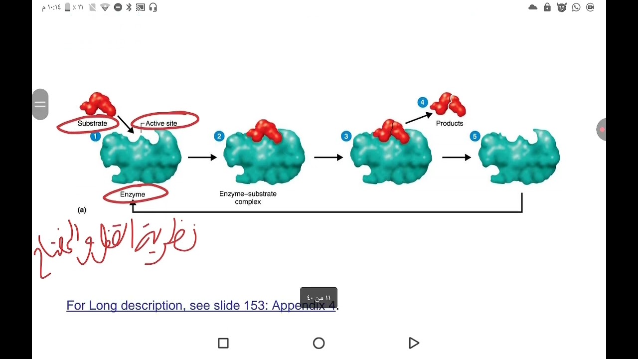 Microbiology | Unit 4 part 1