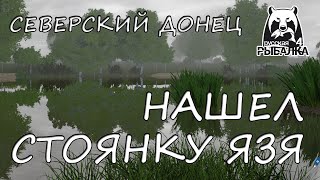 Русская рыбалка 4. Северский донец. Фарм. Спиннинг. Язь. Вертушки.