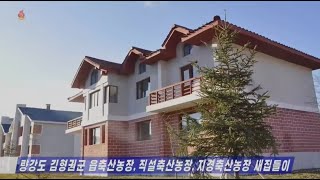 New Homes at the Jiksol and Jigyong Farms in Kimhyonggwon County of Ryanggang Province [Korean]