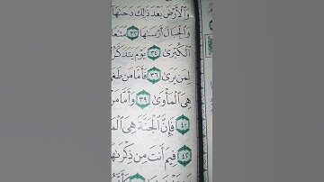 ما معنى "فإن الجحيم هى المأوى"#سورة #النازعات