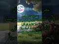 بعض الكلمات لا تقال اشترك بل قناة وفعلو الجرس ليصلكم كل جديد 