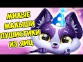 🥰ПУШИСТИКИ МИЛАШКИ😍новое яйцо?! 😍секретный питомец Fluvsies