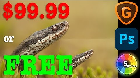 SUPER RESOLUTION - Topaz Gigapixel AI vs Photoshop, ACR & Raw Therapee