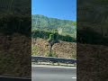 #italy #италия #поехали