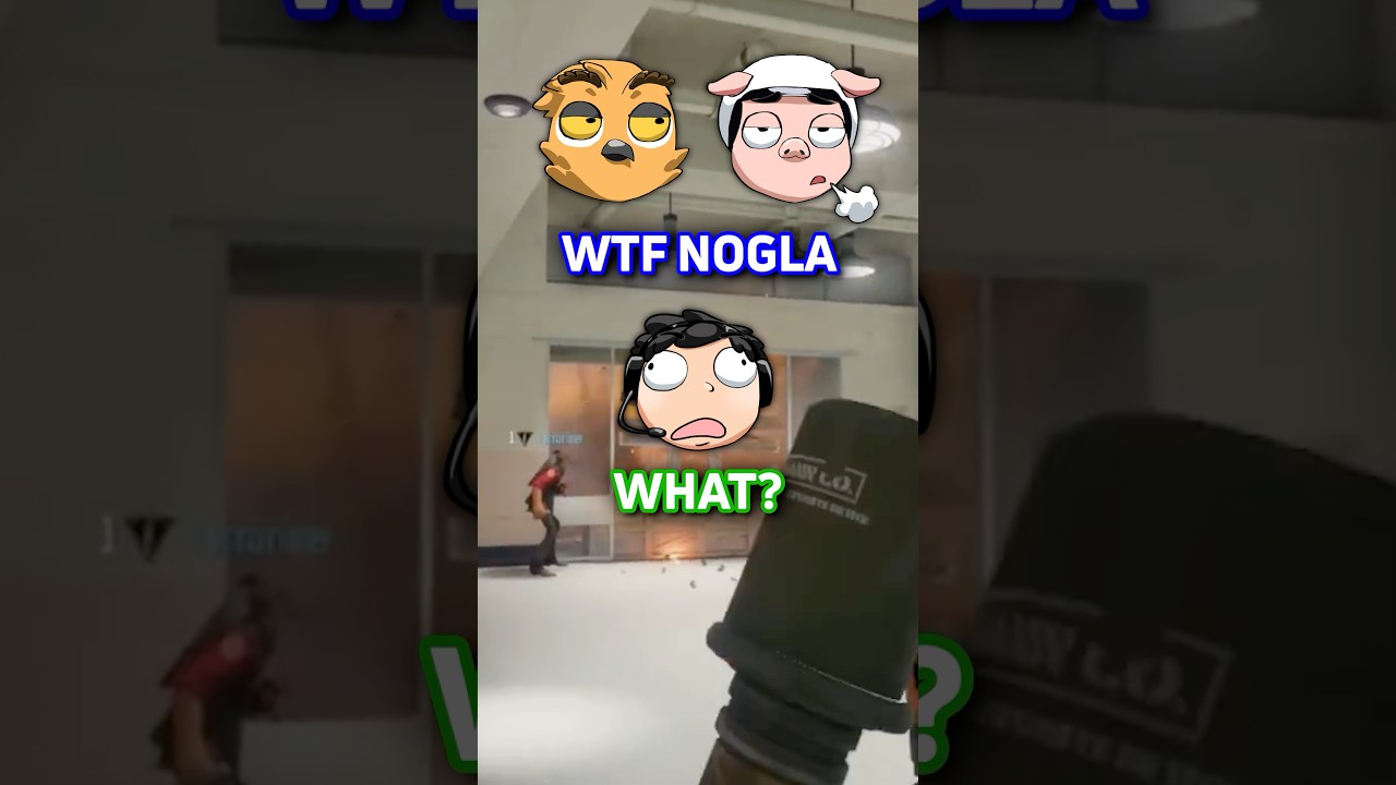 Nogla KILLED this conversation… 😭🤐