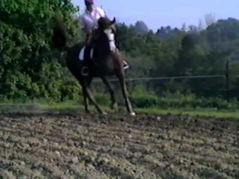 Deja Vu 1988 and Elaine Ward