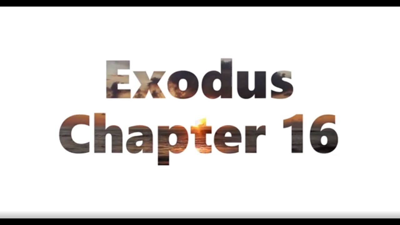 The Book Of Exodus Chapter 16 New King James Version NKJV Audio The Book Of Exodus Chapter 16 New King James Version Nkjv Audio