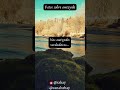 Fatos sobre amizade #Shorts #short #shortsvideo #curiosidades #viralshorts #curious #conhecimento