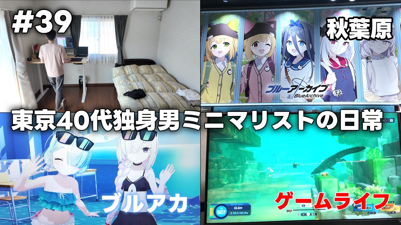 【Vlog39】東京40代独身男の日常/ミニマリスト/今年ゲームラッシュがヤバい/ぬい業界好調/秋葉原/ブルアカ/勝利の女神NIKKE/ゲームルーティン