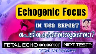 Echogenic focus in left ventricle of heart.Malayalamഹൃദയ ഭിത്തിയിൽ വെളുത്ത പൊട്ടായി കാണുന്നത് എന്ത് screenshot 4