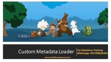 Custom Metadata Loader to bulk load or update records of custom metadata types -AJ Skill Development