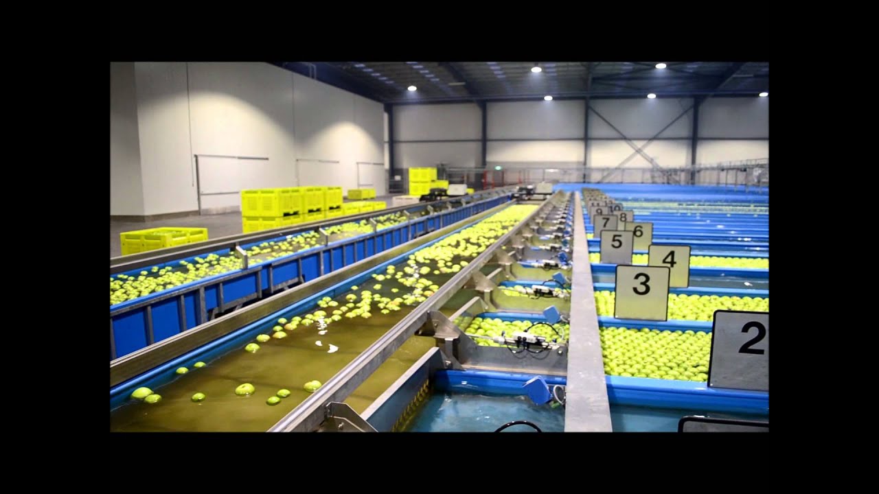 Greefa Apple Pre-Grading Installation