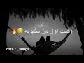 ذاك الغبي شيمي مع الكلمات