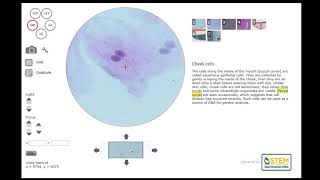BIOLOGY: OSA Virtual microscope