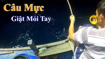 Câu Mực Và Nghề Lưới Rút Đêm | Lưới Rút Nghề Phát Triển Nhất Của Ngư Dân