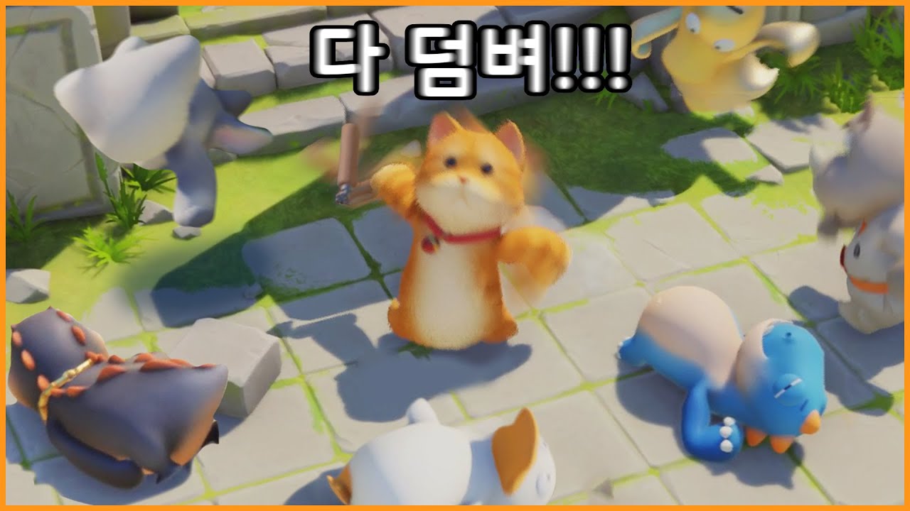 배꼽 빠지는 동물들의 싸움 2탄ㅋㅋㅋ (Party Animals/파티 애니멀즈)