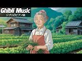【Relaxing Ghibli】 ジブリ メドレー🔱ピアノ ジブリコレクション🔱 ジブリのベストピアノ曲 🔱 魔女の宅急便, となりのトトロ, 千と千尋の神隠し, 崖の上のポニョ