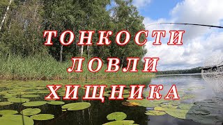 ТОНКОСТИ Ловли Хищника! Где найти рыбу если НЕ КЛЮЁТ! Как Поймать!