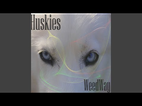 Video: Sådan Fodres Huskies
